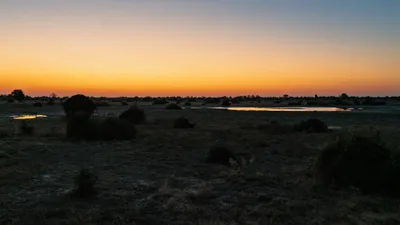 20250727_173049_safari_botswana.webp