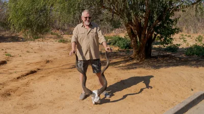 20250728_090748_safari_botswana.webp