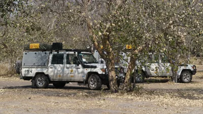 20250728_110811_safari_botswana.webp