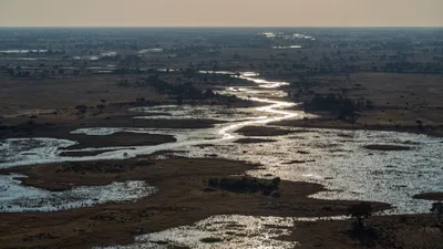 20250801_161645_safari_botswana.webp