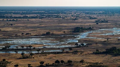 20250801_161657_safari_botswana.webp