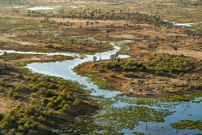 20250801_162725_safari_botswana.webp