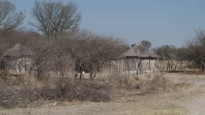 20250802_091211_safari_botswana.webp