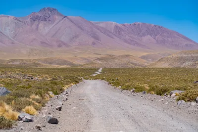 20220219_chile-atacama_0334.webp