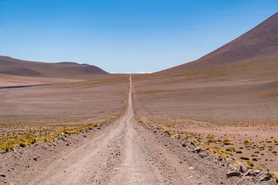 20220219_chile-atacama_0359.webp
