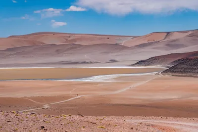 20220219_chile-atacama_0368.webp