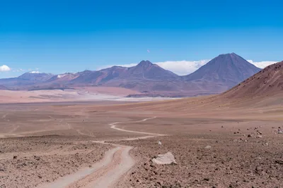 20220219_chile-atacama_0415.webp