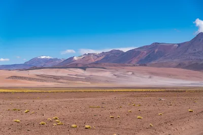 20220219_chile-atacama_0425.webp
