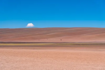 20220219_chile-atacama_0432.webp