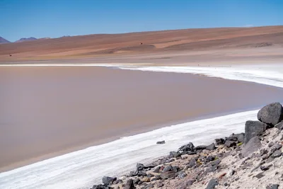 20220219_chile-atacama_0445.webp