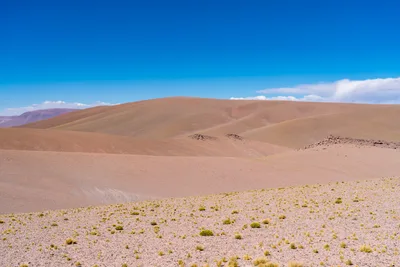 20220219_chile-atacama_0458.webp