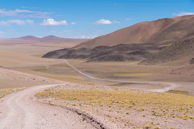 20220219_chile-atacama_0468.webp