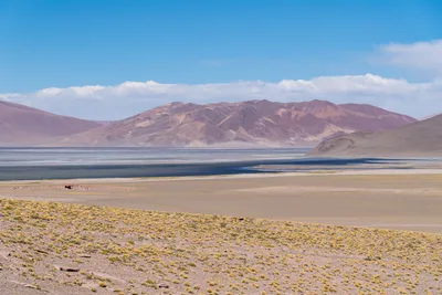20220219_chile-atacama_0471.webp