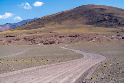 20220219_chile-atacama_0524.webp