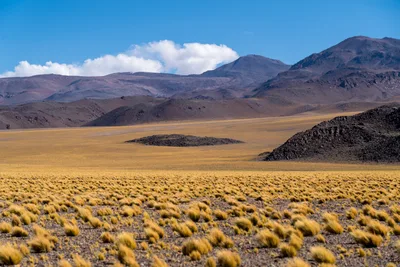20220219_chile-atacama_0541.webp