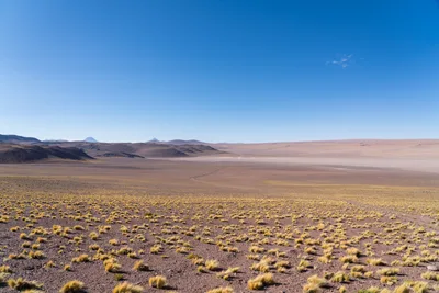 20220219_chile-atacama_0554.webp