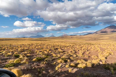 20220220_chile-atacama_0599.webp