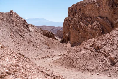 20220220_chile-atacama_0702.webp