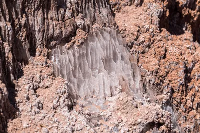 20220220_chile-atacama_0779.webp