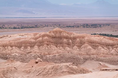 20220220_chile-atacama_0869.webp