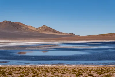 20220221_chile-atacama_0968.webp
