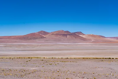 20220221_chile-atacama_0988.webp