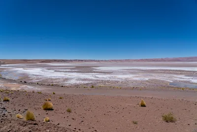 20220221_chile-atacama_0989.webp