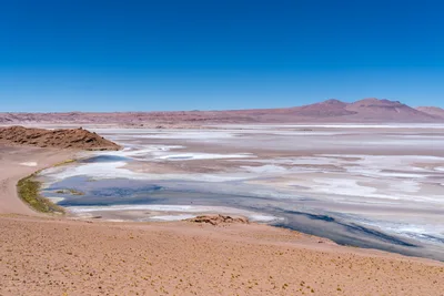 20220221_chile-atacama_0992.webp