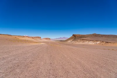 20220221_chile-atacama_1030.webp