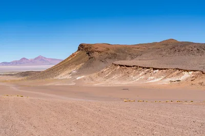 20220221_chile-atacama_1031.webp