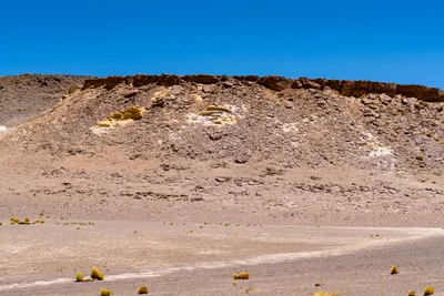 20220221_chile-atacama_1040.webp