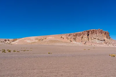 20220221_chile-atacama_1044.webp
