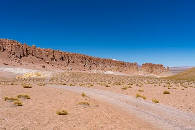 20220221_chile-atacama_1052.webp