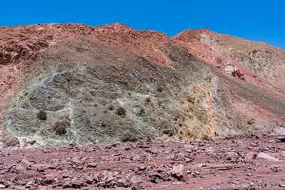 20220223_chile-atacama_1167.webp