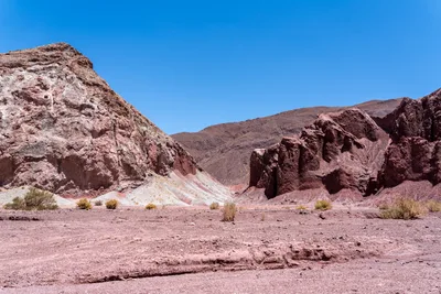 20220223_chile-atacama_1181.webp