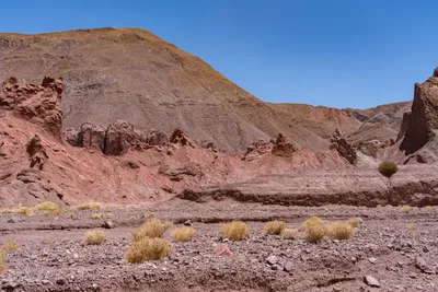 20220223_chile-atacama_1195.webp