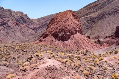 20220223_chile-atacama_1204.webp