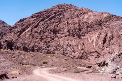 20220223_chile-atacama_1210.webp