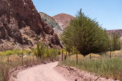20220223_chile-atacama_1215.webp
