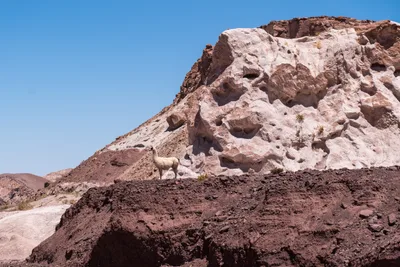 20220223_chile-atacama_1219.webp