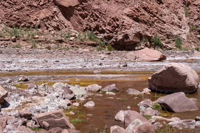 20220223_chile-atacama_1220.webp