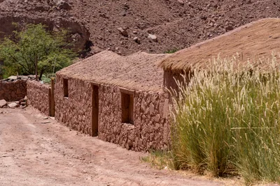 20220223_chile-atacama_1234.webp
