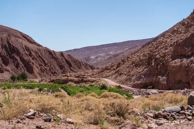 20220223_chile-atacama_1244.webp