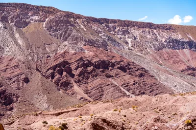 20220223_chile-atacama_1247.webp