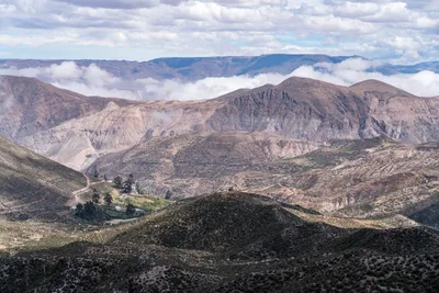 20220225_chile-lauca-las_vicunas0004.webp