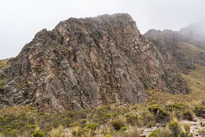 20220225_chile-lauca-las_vicunas0014.webp