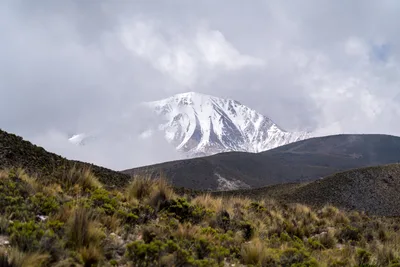 20220225_chile-lauca-las_vicunas0018.webp