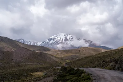 20220225_chile-lauca-las_vicunas0027.webp