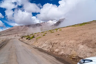 20220225_chile-lauca-las_vicunas0032.webp