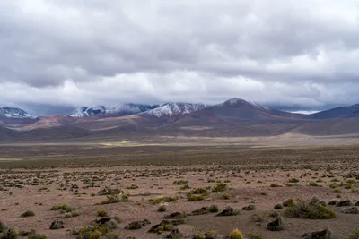 20220226_chile-lauca-las_vicunas0048.webp